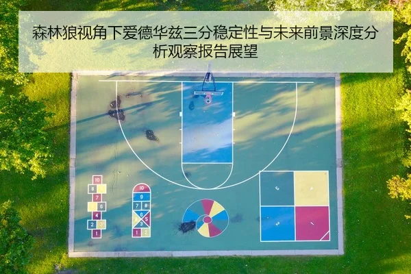 森林狼视角下爱德华兹三分稳定性与未来前景深度分析观察报告展望